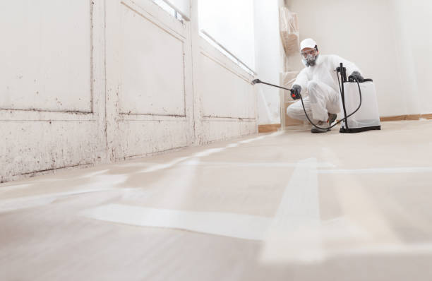 24/7 Emergency Mold Inspection experts in Linden, TN
